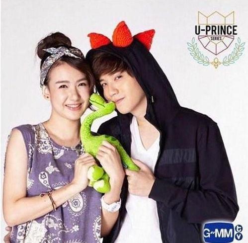 十二王子系列泰剧在线观看,穿越时空的奇幻之旅